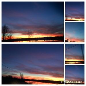 Meet your Posher, Bridget